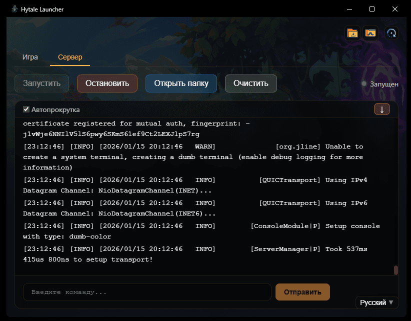 Вкладка запуска сервера